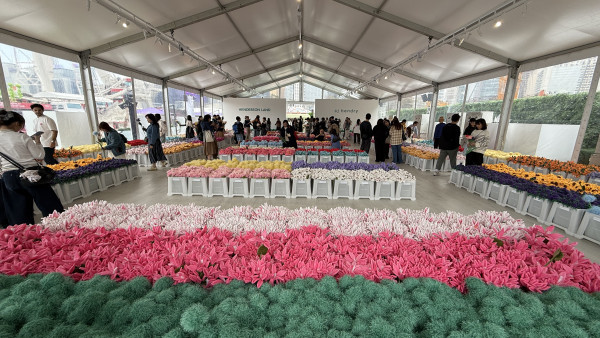 15萬枝毛絨花藝術裝置登陸中環！免費入場即拎走限定毛絨花1朵