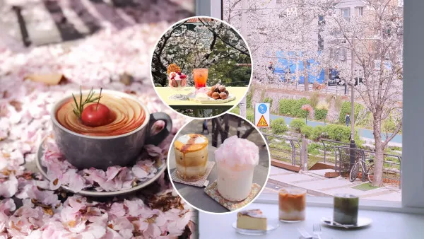 【韓國櫻花2026】首爾8大必去櫻花Cafe 春天必去！絕美櫻花陽台/櫻花窗景