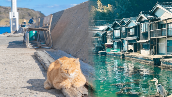 【日本自由行2026】日本深度遊小眾景點8選 此生必去沙丘/世界三大漩渦/宮崎駿動畫取景地！