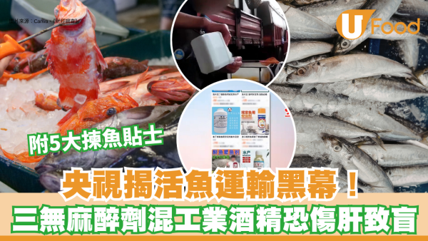 央視揭活魚運輸黑幕！「三無麻醉劑」混工業酒精恐傷肝致盲 附5大揀魚貼士