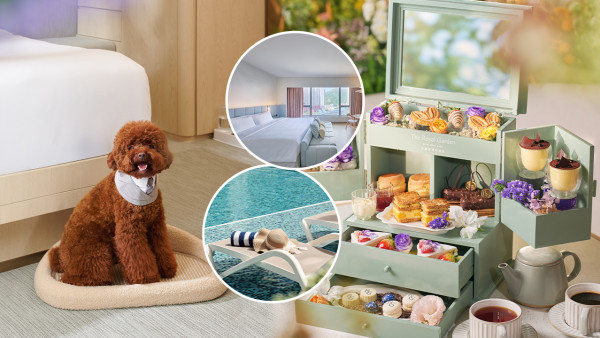 【免費試住】全新五星級酒店！設獨棟式Villa/寵物友善/私人花園 偽出國度假首選！