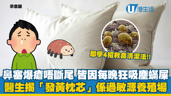 晚晚鼻塞爆瘡唔斷尾？醫生揭「發黃枕芯」如過敏源養殖場：每晚狂吸塵蟎屎！即學4招枕頭正確清潔法