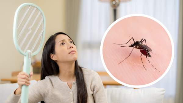 半夜捉蚊千萬別開大燈！網民教1招「側照法」滅蚊 牆上秒現巨大黑影