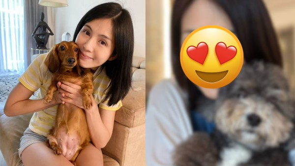 楊采妮激罕返港露面曝真實素顏 51歲狀態震撼網民：老咗但氣質真係無敵