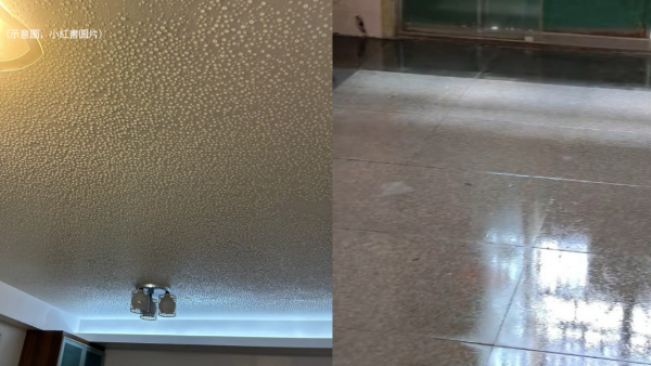 拖地15分鐘未乾！4月反常回南天反潮出水 天文台料下周濕度飆至95%