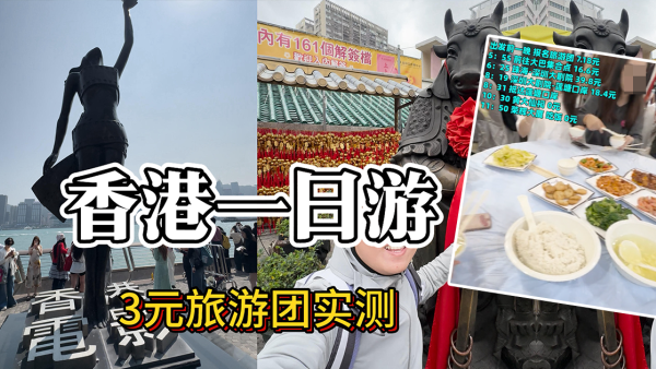 3蚊遊香港仲包「八菜一湯」？內地男實測超平一日團 「特種兵行程」包車包食包玩！網民質疑點樣賺錢...