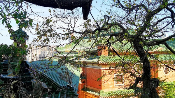 灣仔半山傳奇古宅限時免費開放！揭《京華春夢》取景地 附搶位攻略