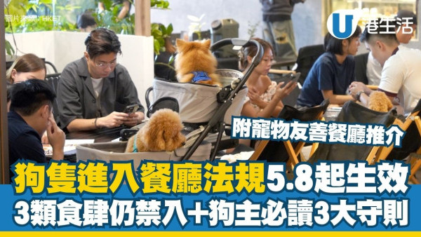 狗隻入食肆懶人包︱5.8起狗狗可入室內餐廳！3類食肆仍禁入＋狗主必讀3大守則（附寵物友善餐廳推介）