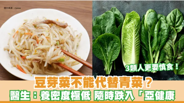 豆芽菜不能代替青菜？家醫科醫生：養密度極低 隨時跌入「亞健康」3類人更要慎食！