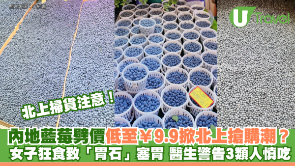 內地藍莓劈價低至¥9.9掀北上搶購潮？女子狂食致「胃石」塞胃 醫生警告3類人慎吃