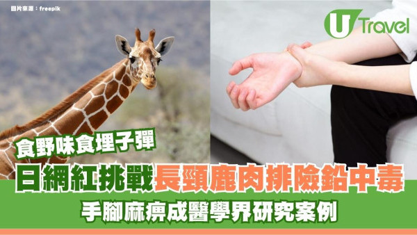 食野味竟「食埋子彈」？日網紅挑戰長頸鹿肉排險鉛中毒 手腳麻痹成醫學界研究案例