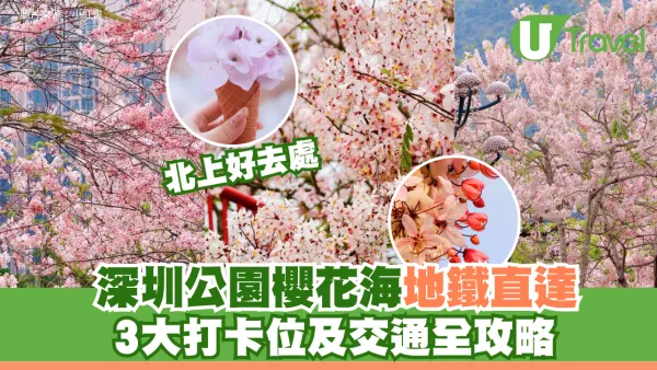 深圳白石龍音樂公園櫻花海地鐵直達！免費入場推介3大打卡位附交通方式