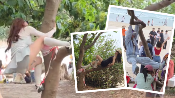 遊客來港「抱樹打卡」熱褲女闖西貢浪茄攀爬惹怒網民 觸犯1法例恐罰2.5萬兼坐監