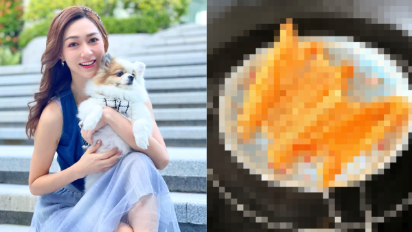 前港姐冠軍成碟花膠餵愛犬食惹熱議 超級富養極盡奢華！網民：隻狗過得好過我