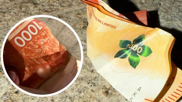 街頭現$1000金牛包香口膠？網民警告「厄運錢」咪執 附合法處理指南