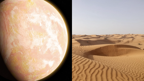 NASA警告地球提早40億年滅絕！揭人類缺氧死因 僅1物種生還