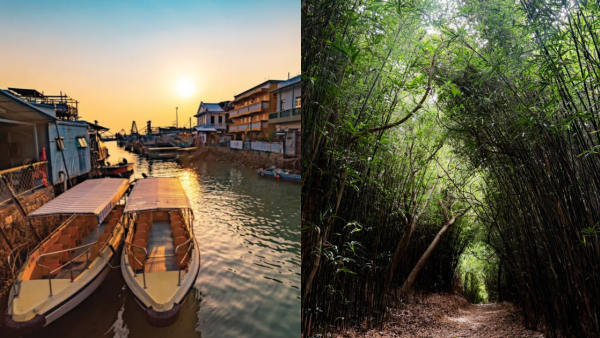 港版京都竹林！香港4大隱世郊遊秘境散心 唔使飛日本附交通攻略