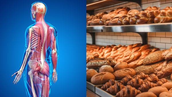 早餐麵包越焦越香？營養師：恐致慢性發炎兼催老／認住1隻顏色千萬別買