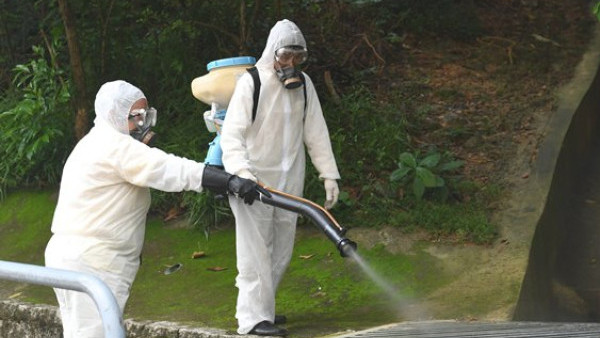 數百萬「絕育雄蚊」即將空降？食環署擬祭出滅蚊奇招 下一代直接「絕後」