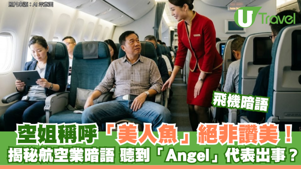 飛機冷知識｜空姐稱呼「美人魚」絕非讚美！揭秘航空業專屬暗語 聽到「Angel」代表出事？