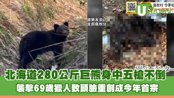 今年首宗！北海道280公斤巨熊身中五槍不倒 襲擊69歲獵人致頭臉重創