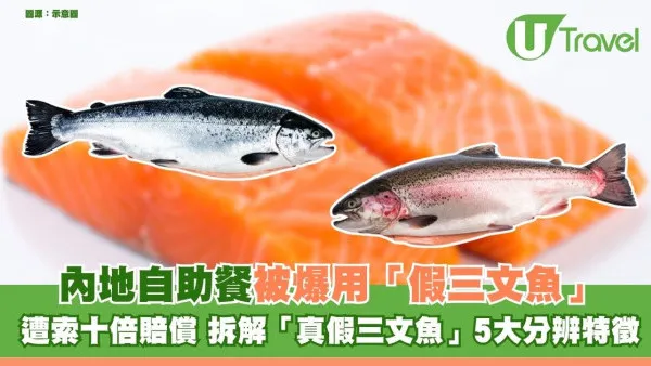 內地自助餐被爆用虹鱒扮三文魚 食客索償10倍賠償 拆解「真假三文魚」5大分辨特徵