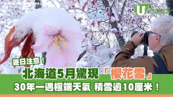 遊日注意｜北海道5月驚現「櫻花雪」！30年一遇極端天氣 積雪逾10厘米
