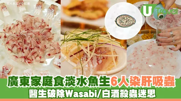 北上搵食注意！廣東家庭食淡水魚生6人染肝吸蟲 醫生破除Wasabi/白酒殺蟲迷思