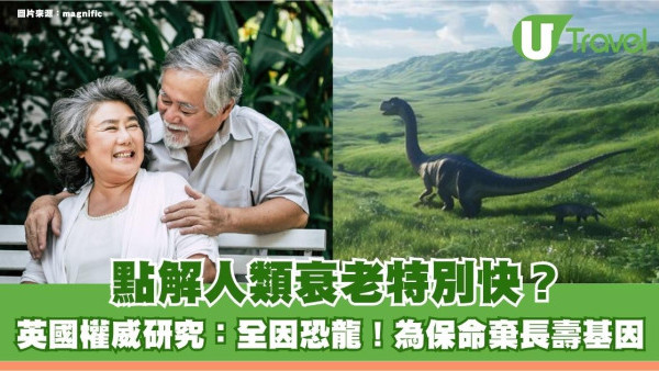 點解人類衰老特別快？英國權威研究：全因恐龍！為保命棄長壽基因