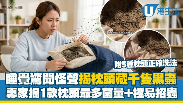 睡覺驚聞怪聲揭枕頭藏千隻黑蟲！專家揭1款枕頭含菌量最高兼極易招蟲（附5種枕頭正確洗法）