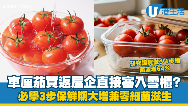 車厘茄買返屋企直接塞入雪櫃？研究證實做少1步細菌激增64% 必學3步保鮮期大增兼零細菌滋生
