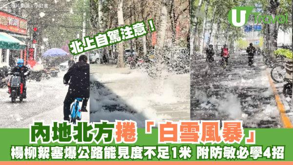 北上自駕注意｜內地北方捲「白雪風暴」！楊柳絮塞爆公路能見度不足1米 附防敏必學4招
