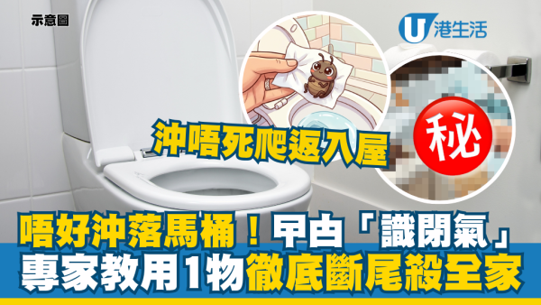 曱甴沖落馬桶大錯特錯？專家揭「識閉氣」沖唔死爬返入屋！教用「1物」徹底斷尾殺全家