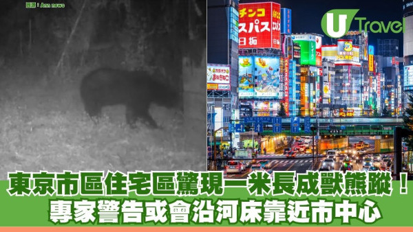 東京市區住宅區驚現一米長成獸熊蹤！ 專家警告或會沿河床靠近市中心