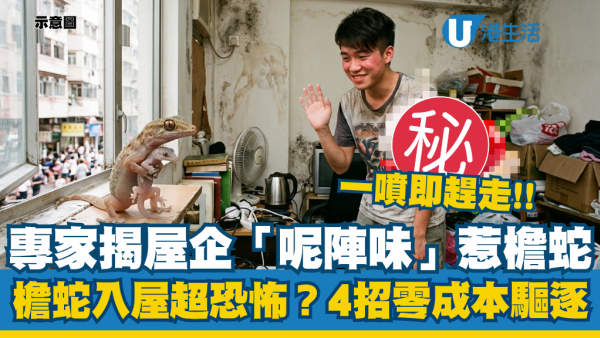 檐蛇入屋原來受「1種味」吸引！專家揭四腳蛇剋星：2款常見食材即變最強驅蟲噴霧