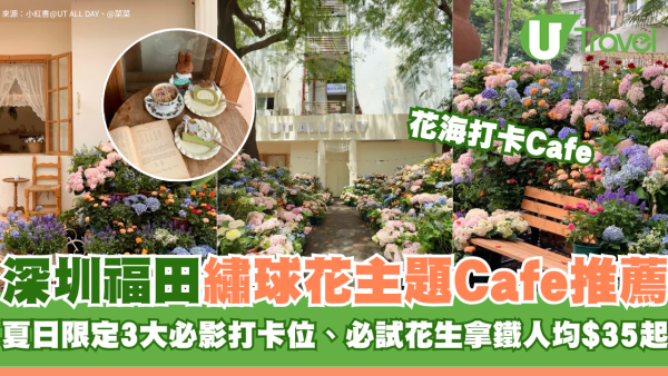 深圳福田繡球花主題Cafe推薦！夏日限定3大必影打卡位、必試花生拿鐵人均35元起