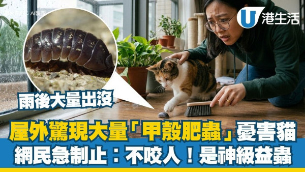 潮湿虫︱屋外观现大量“甲壳肥虫”狂蠕动！猫奴吓惊急发帖求救 网友急制止：是神级益虫