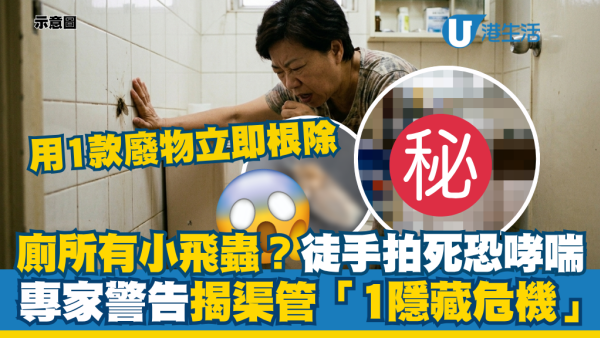 厕所经常有小飞虫？倒漂白水没用！专家揭管道“1隐藏危机”：用1款厨房废弃物立即根除