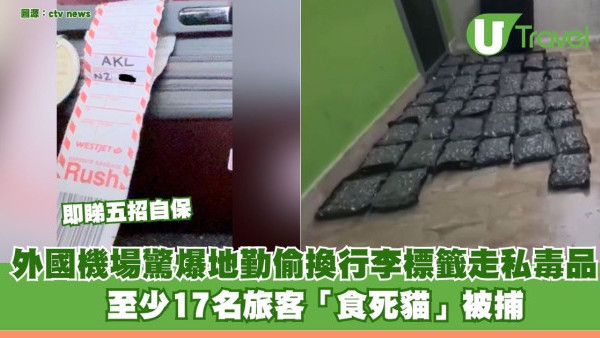 多倫多機場驚爆地勤偷換行李標籤走私毒品 至少17名旅客「食死貓」被捕 即睇五招自保