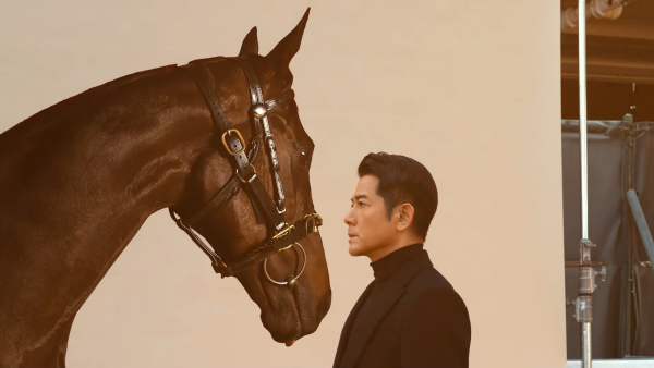 郭富城愛駒「舞林密碼」驚傳離世噩耗  曾奪4場頭馬吸金逾1240萬