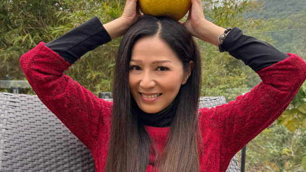 滕麗名自爆曾拒絕百萬片酬拍三級片！入行31年「呢套劇」冇獎攞最失望