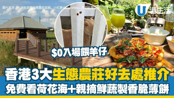 香港大自然秘境｜3大自然生態好去處推介 $0入場餵小羊/免費看荷花海/親摘鮮蔬製香脆薄餅！（附交通攻略）