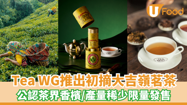 Tea WG推出初摘大吉嶺茗茶 茶界香檳/產量稀少限量發售