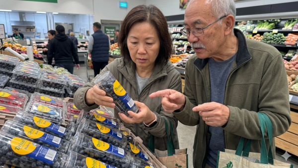 Driscoll's藍莓圓筒方盒藏產地密碼？官方回應揭4大隱藏等級：買呢款最爆汁