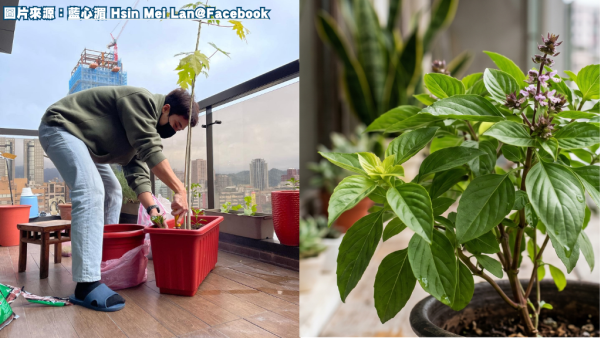 失眠救星︱不靠安眠药！台湾女星私藏“平民助眠神器”大公开！床头放一种常见香料秒速入睡！实测：抗焦虑+天然镇痛