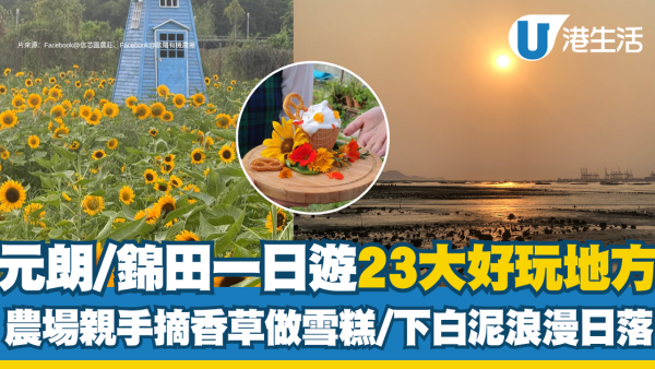 元朗好去處｜一日遊23大好食好玩地方 農場摘香草做雪糕/下白泥浪漫日落/壁畫村打卡