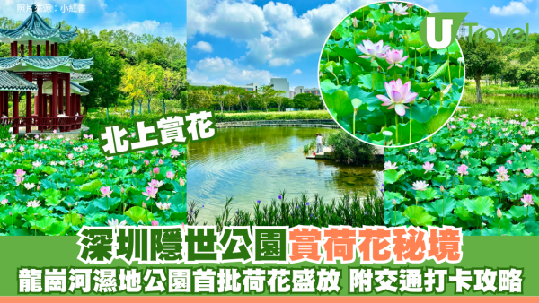 北上賞花│深圳隱世公園賞花秘境！龍崗河濕地公園首批荷花盛放 附交通打卡攻略 