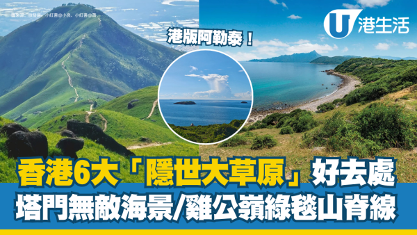 【香港大草地2026】6大無邊際隱世草坪！港版「阿勒泰」看牛/高山芒草海/無敵海景野餐（附交通詳情）