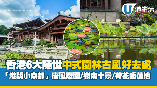 香港中式园林︱6大隐世中式大宅古风园林 港版金阁寺/法式宫廷风大宅/岭南十景/荷花睡莲池