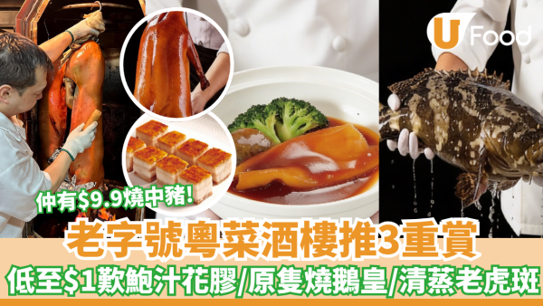 酒樓優惠｜老字號粵菜多彩酒樓推3重賞  低至$1歎鮑汁花膠/原隻燒鵝皇/清蒸金邊老虎斑、$9.9 燒中豬、$19.8乾炒牛河